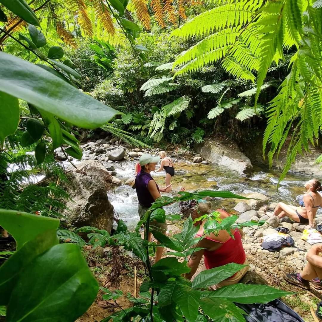 Hibiscus Valley Inn Marigot Buitenkant foto