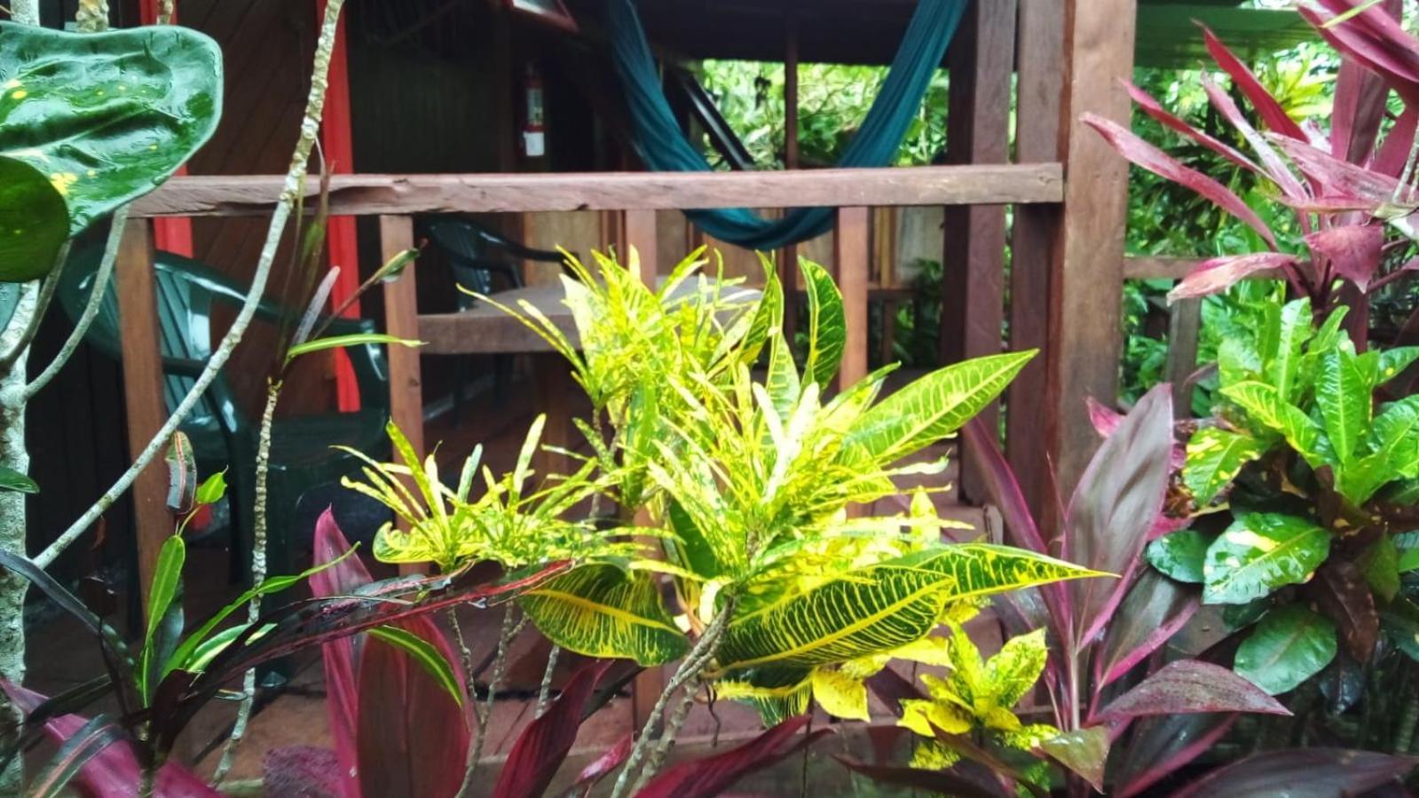 Hibiscus Valley Inn Marigot Buitenkant foto