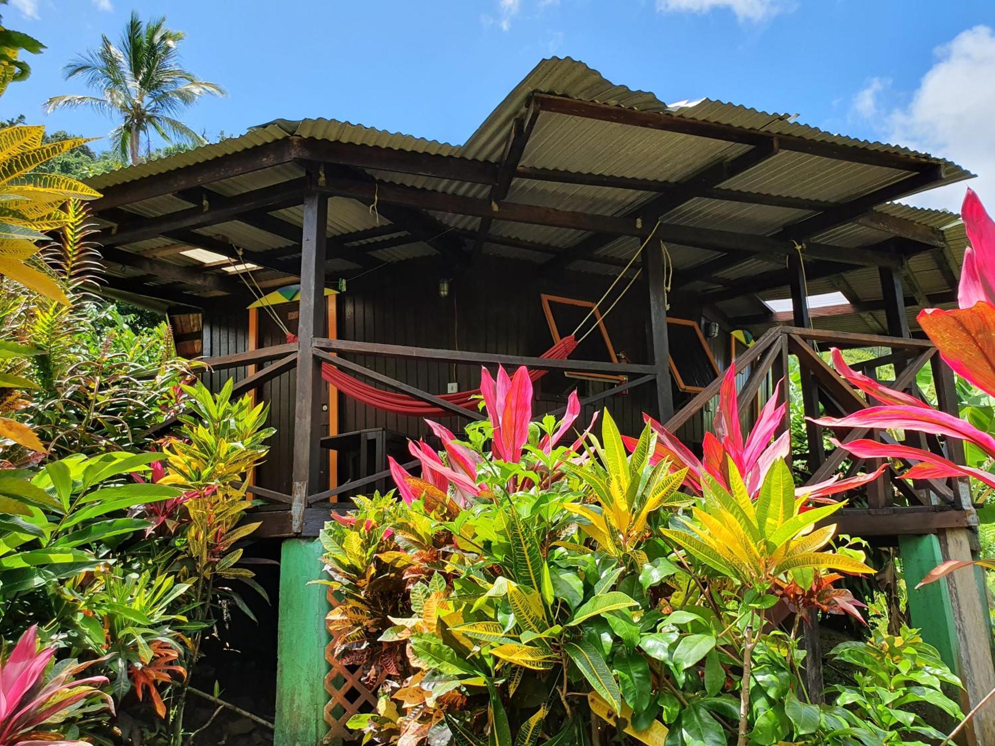 Hibiscus Valley Inn Marigot Buitenkant foto